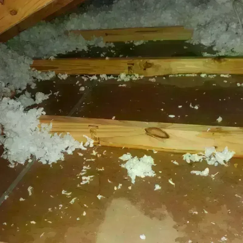 Attic Water Damage in Rosepine, LA